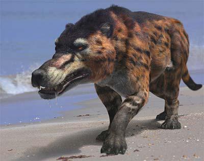 A reconstruction of Andrewsarchus, the largest known mesonychid or hoofed predator, a from the documentary Walking With Prehistoric Beasts. This screenshot is copyrighted by those who own the copyright to the film.