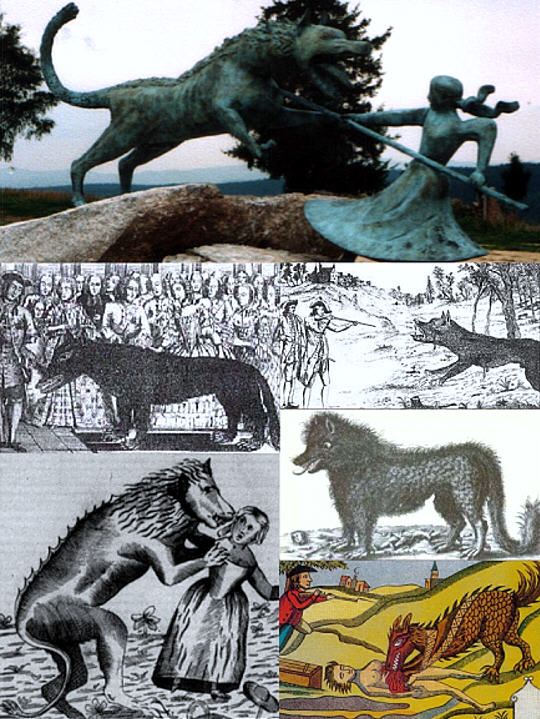 Several traditional depictions of the Beast of Gevaudan show the wide variety of physical characteristics that were attributed to this monster.