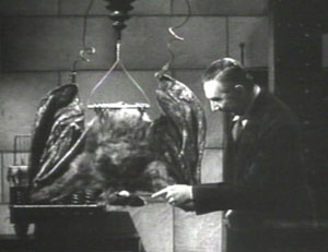 In the 1940 film 'The Devil Bat' Bela Lugosi stars as a mad scientist who sents this giant bat to attack people. This screenshot is copyrighted by those who own the copyright to the film.