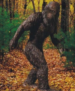 Skunk-apes have a tendency to look somewhat bigfoot-like, but are reported from areas far from the Pacific Northwest. This is copyrighted by those who own the copyright to the book cover art for 'Monsters of Pennsylvania by Patty A. Wilson' by Giles Sparrow.