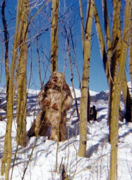 The title monster from the 1977 TV film 'Snowbeast' which is a 'yeti' movie set in Colorado, even though the yeti is a creature of Asia. North America would be Bigfoot country instead of yeti country. Such confusion is common, especially in fiction. This screenshot is copyrighted by those who own the copyright to the film.