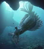 Some cryptids resemble extinct animals, such as this ancient aquatic creature from the documentary 'Walking with Monsters'. Copyright by the creators of the documentary.